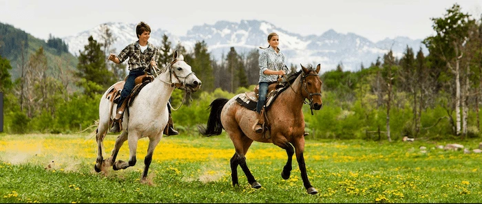 Confident plus-size woman riding Selston a horse through a field with a smile on her face.